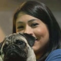 What are the disadvantages of having a pug?