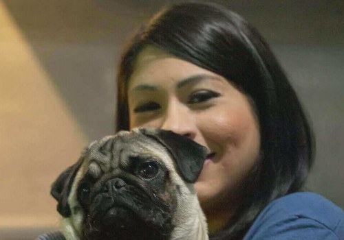 What are the disadvantages of having a pug?